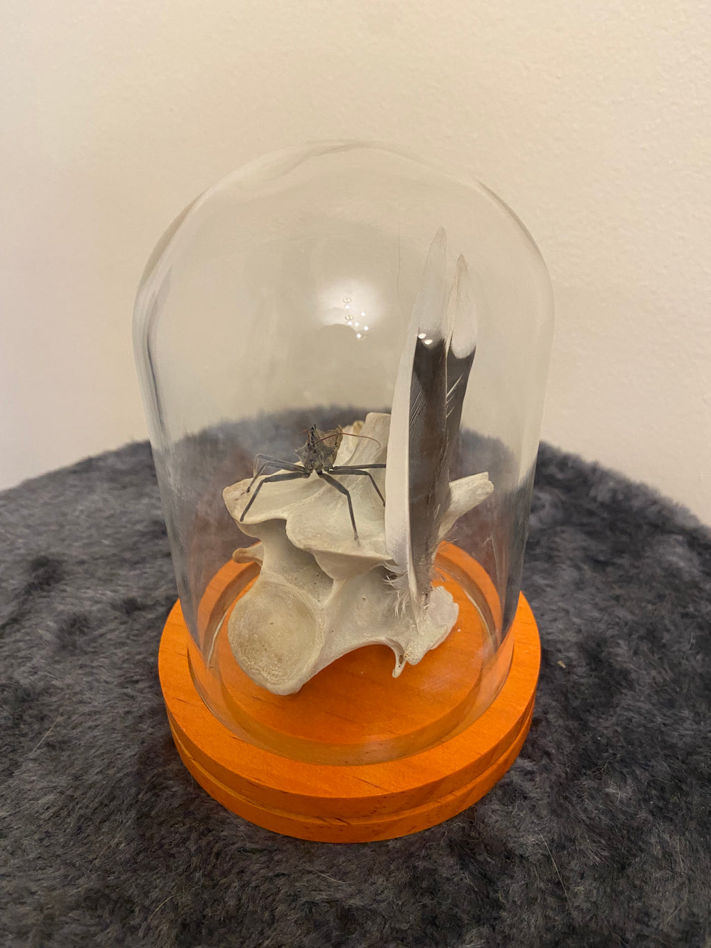Insect globe