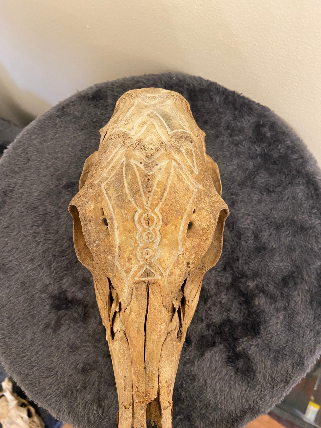 Engraved skull