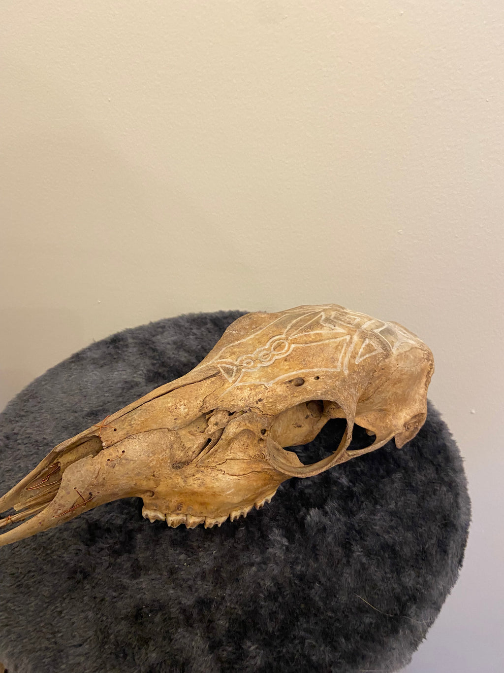 Engraved skull