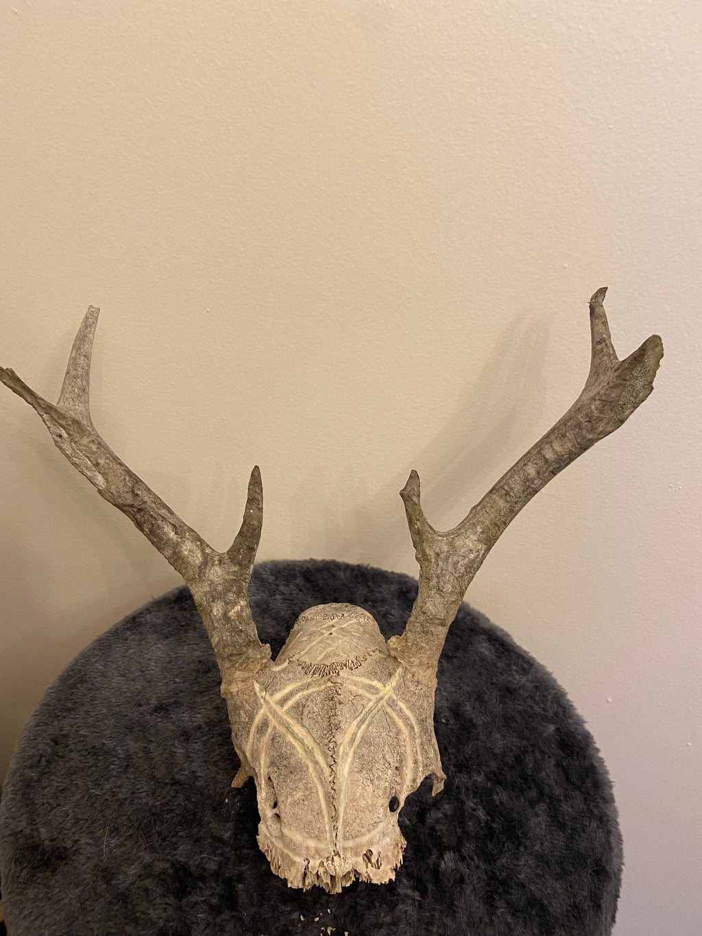 Engraved skull