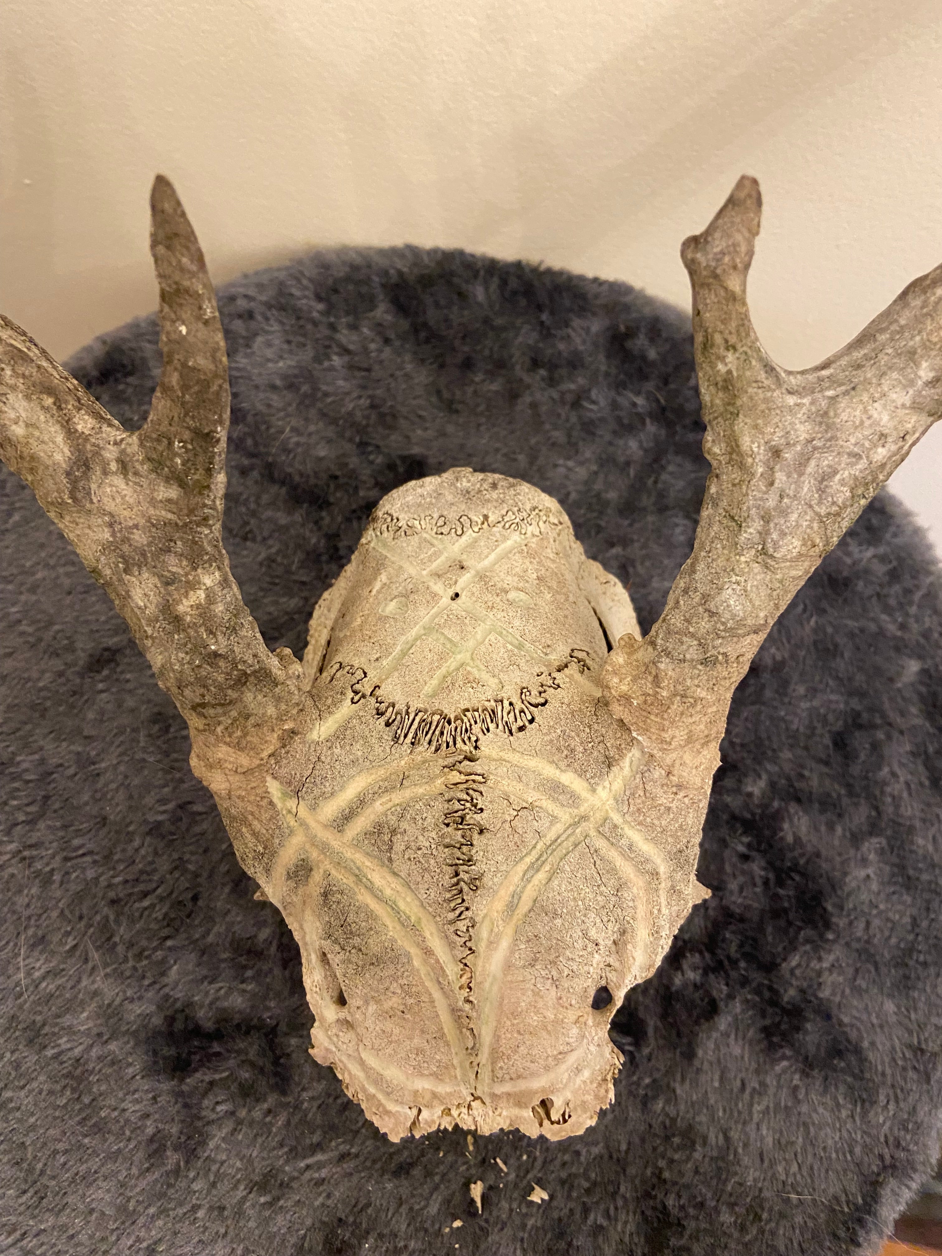 Engraved skull