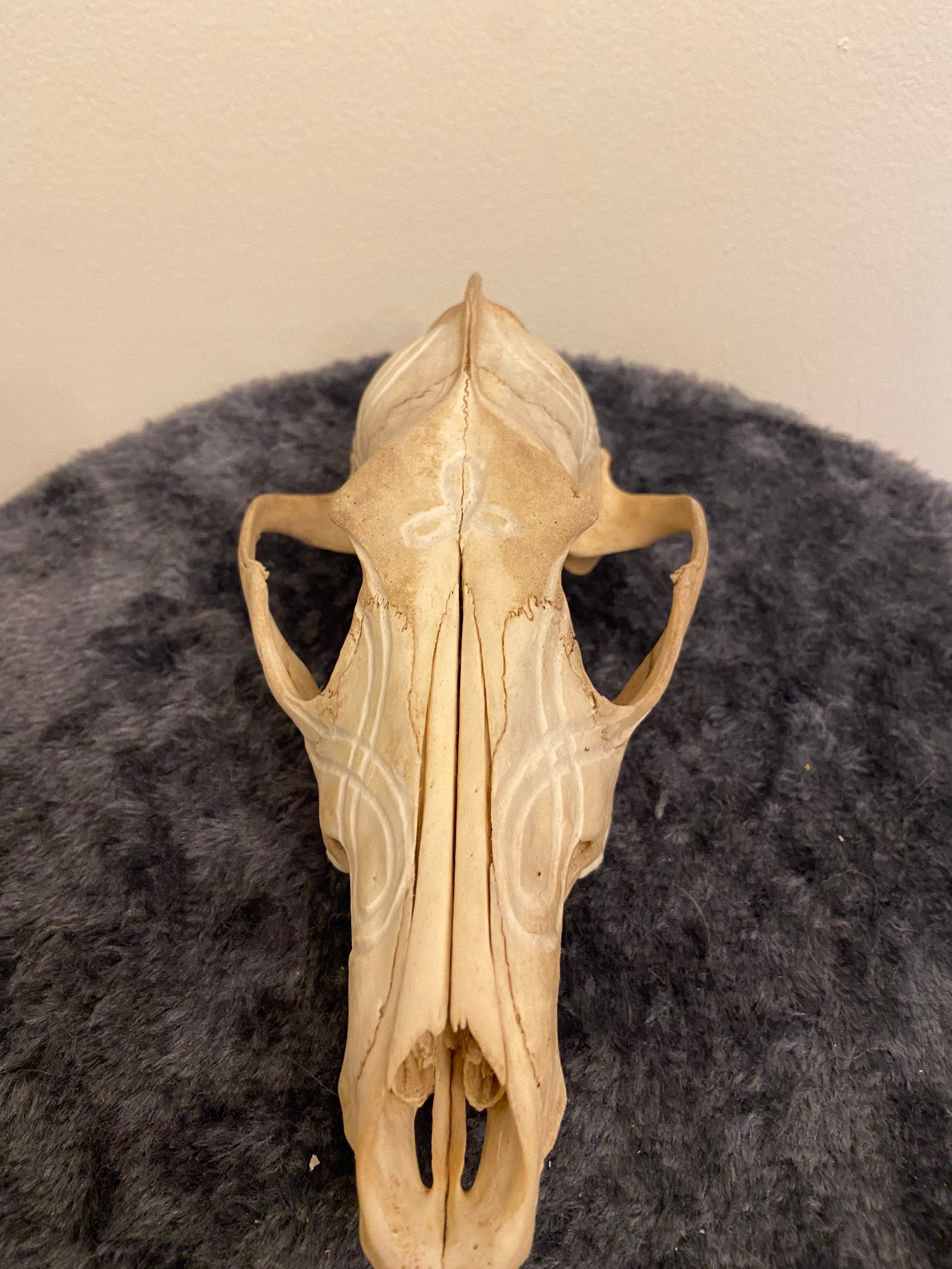 Engraved skull
