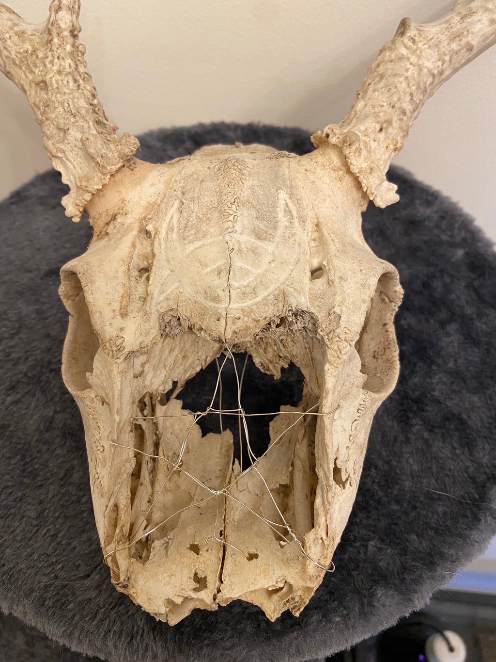 Engraved skull