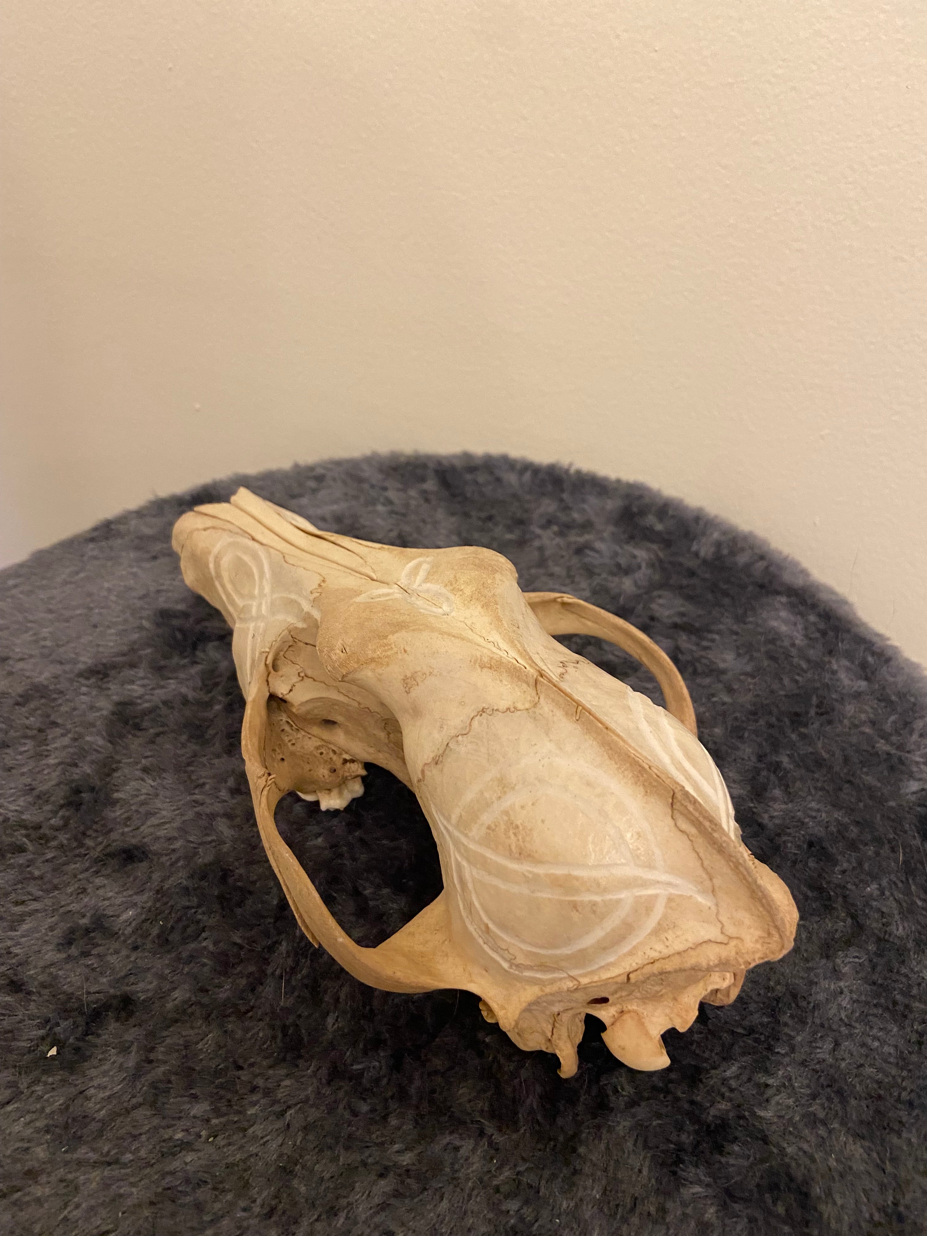 Engraved skull