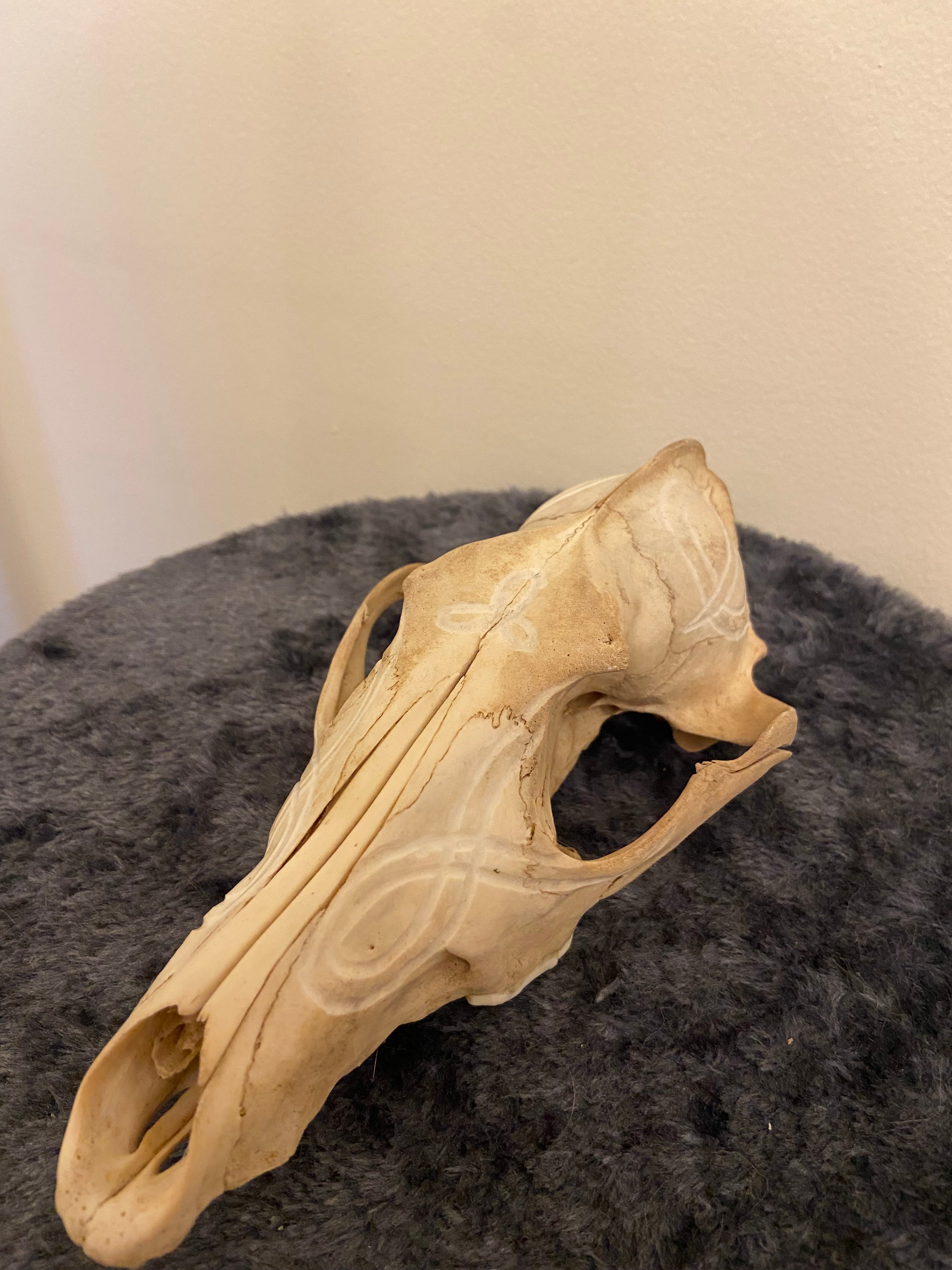 Engraved skull