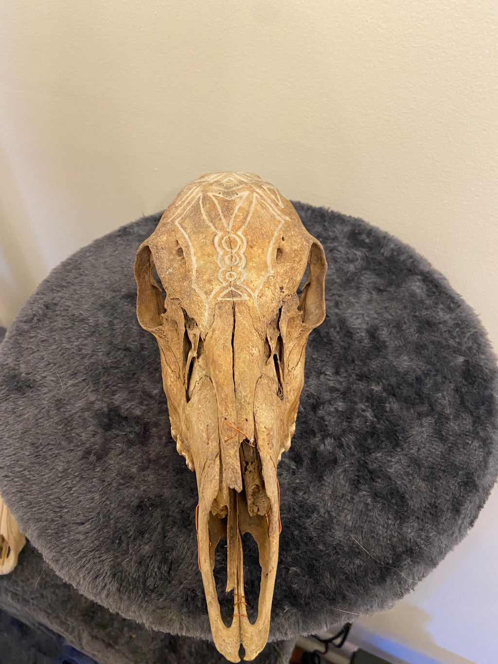 Engraved skull