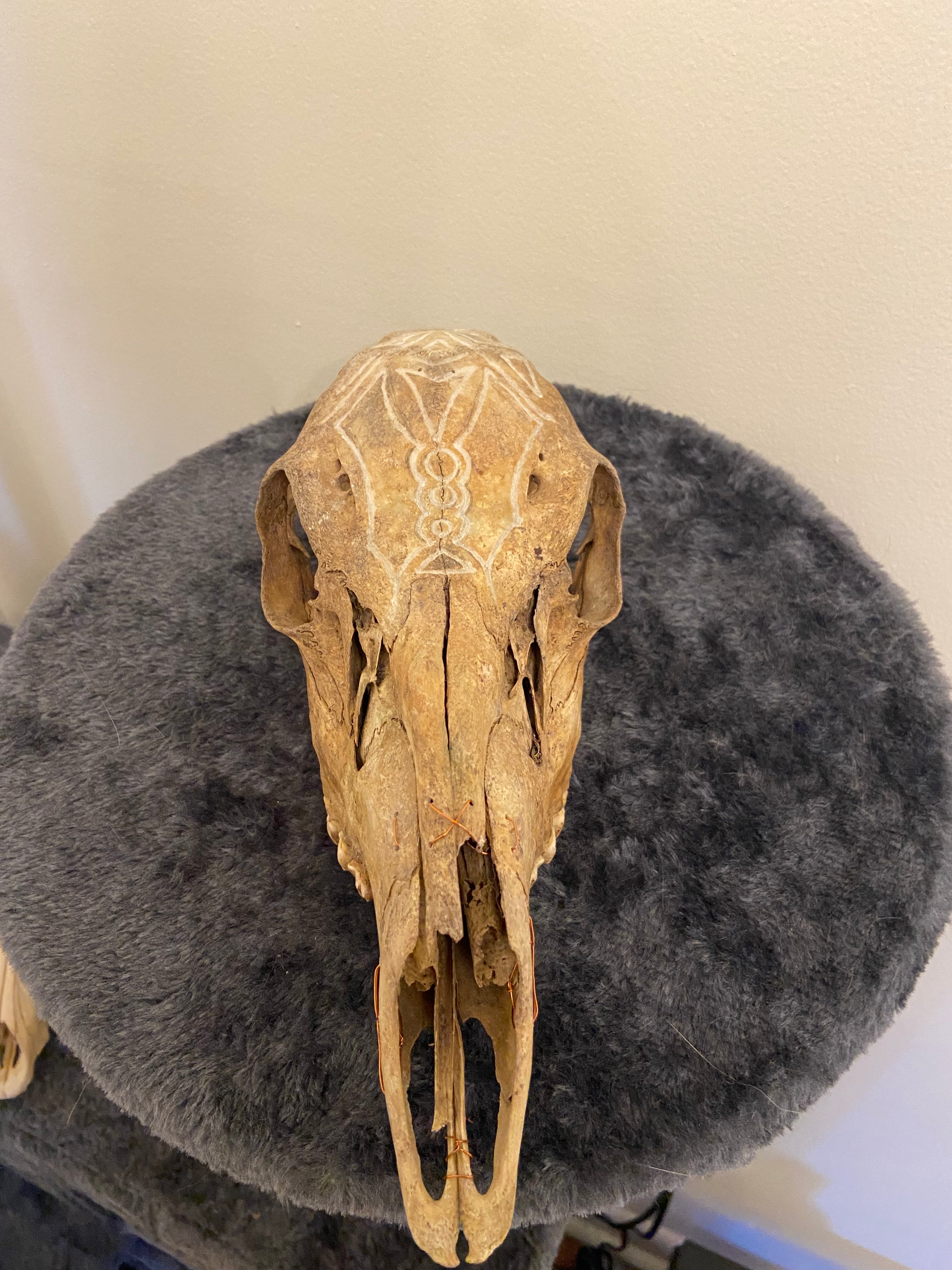 Engraved skull